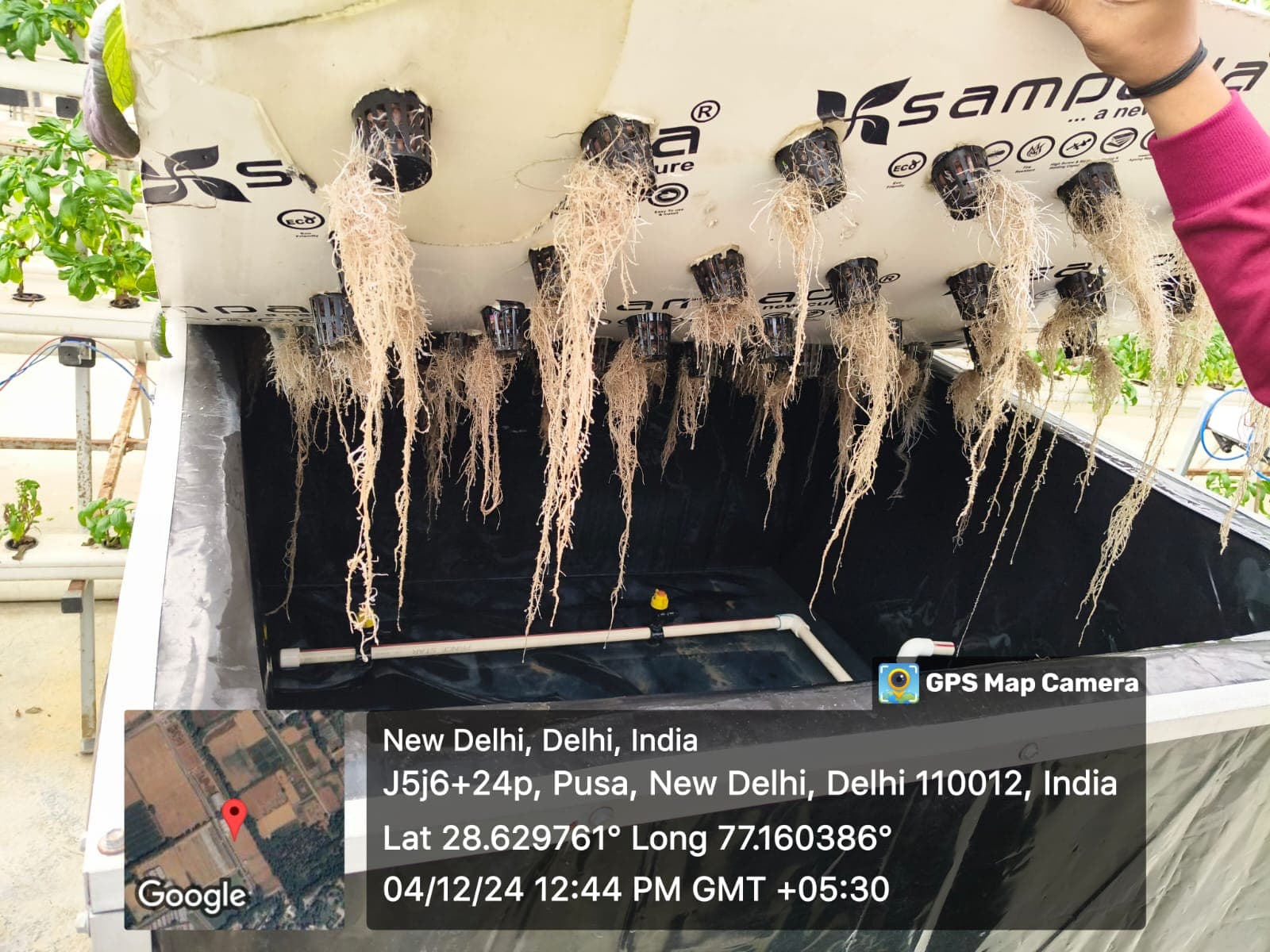 Hydroponic Farming