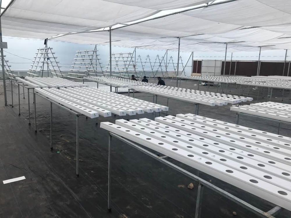 Hydroponic Farm Setup