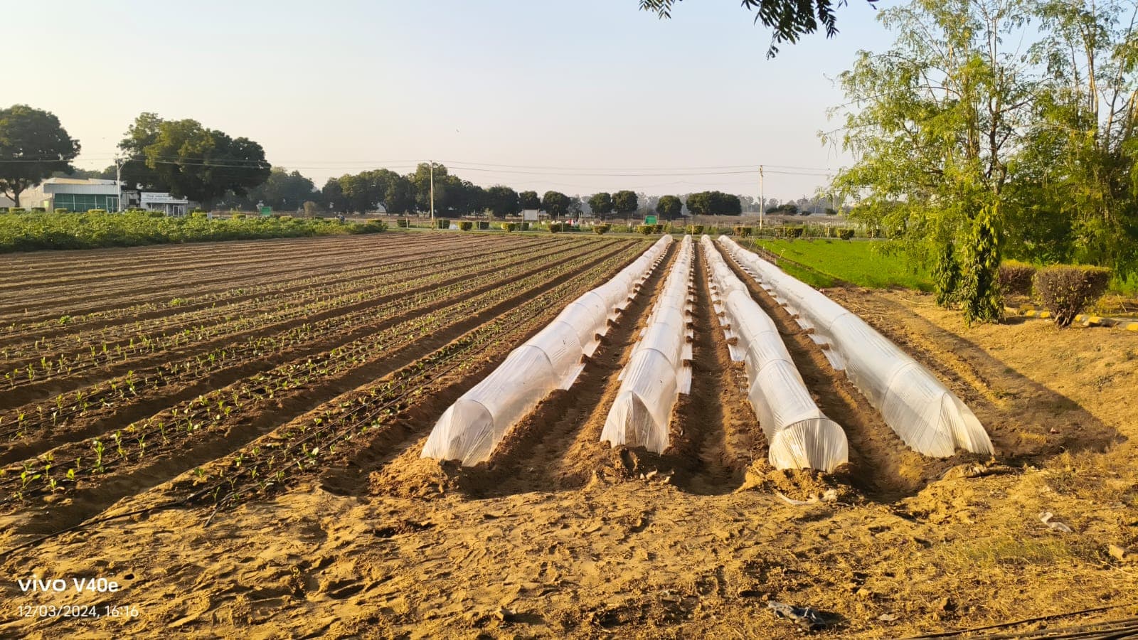 Smart Farming