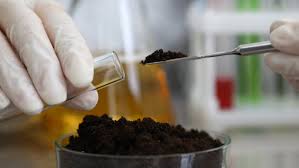Soil Lab Internship