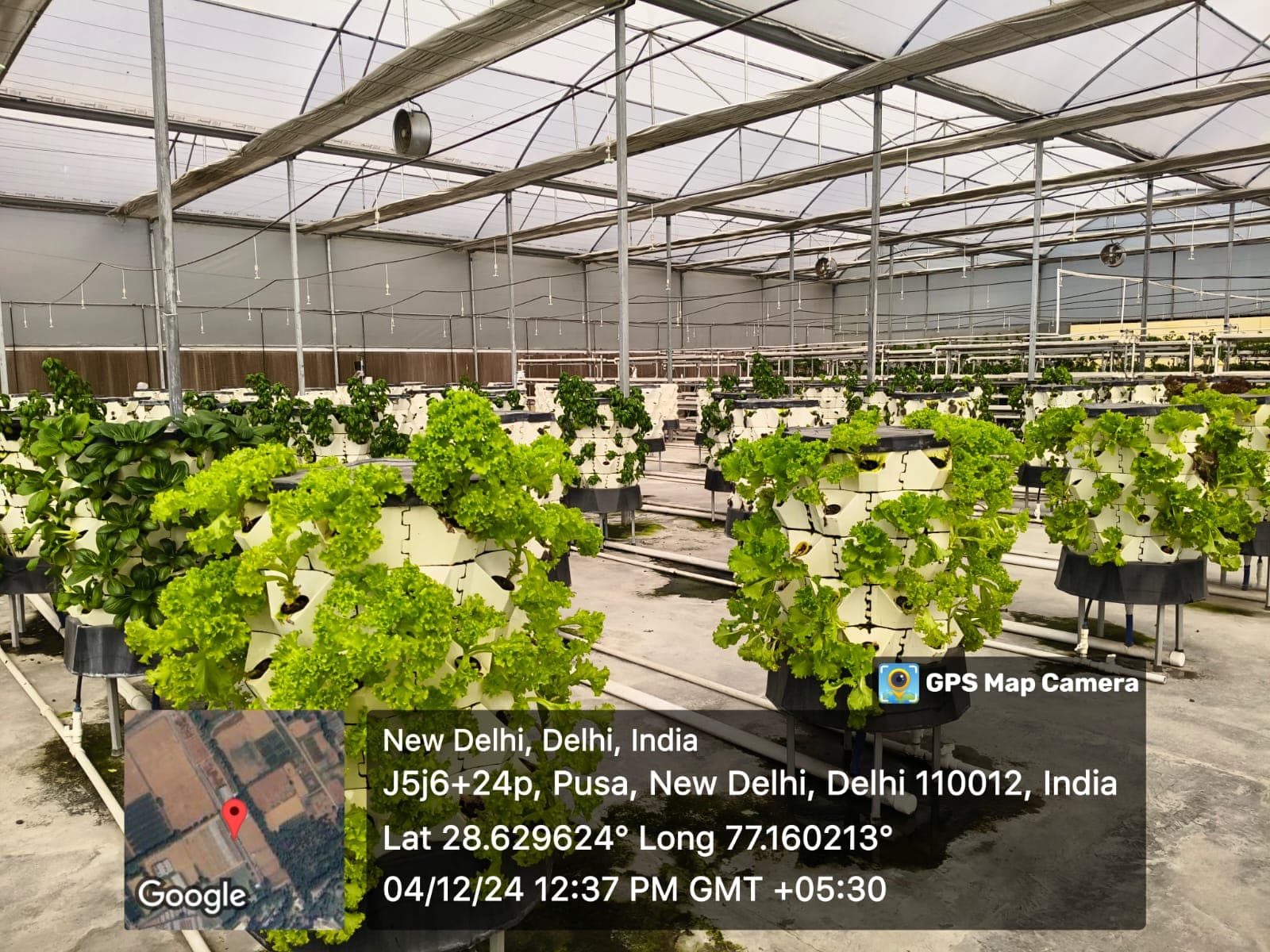 Hydroponics Internship