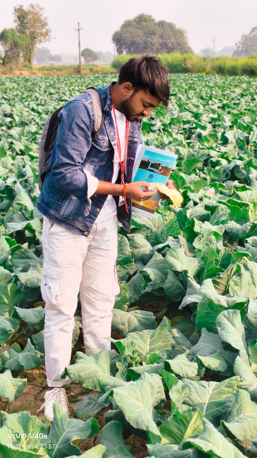Agronomy Internship