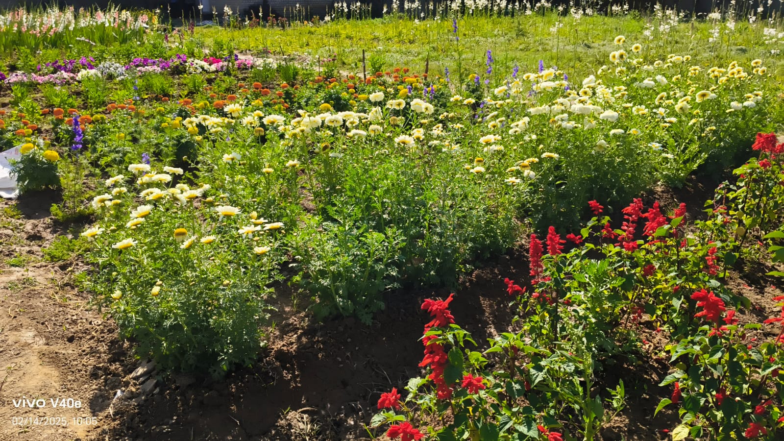 Krishaan Agro moments
