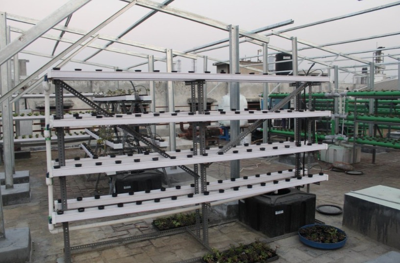 Hydroponic Farm Setup 2