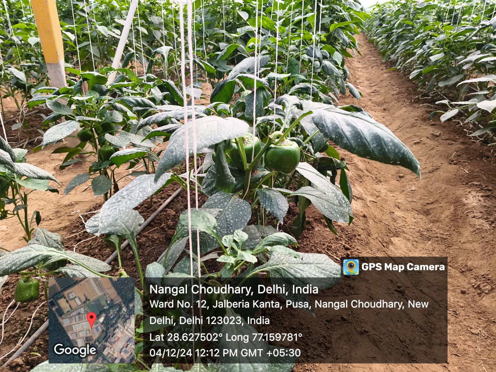 Krishaan Agro moments