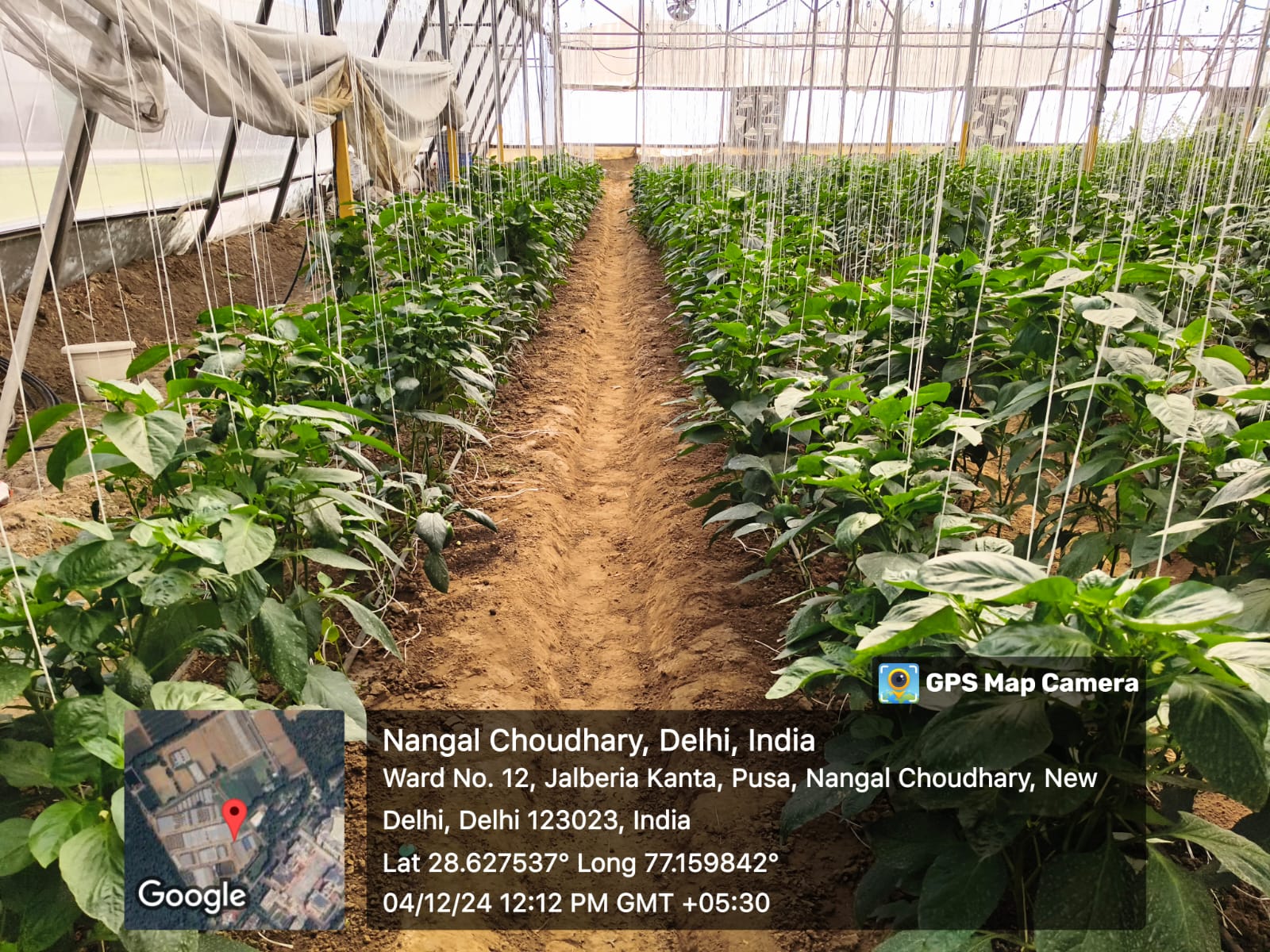 Krishaan Agro moments