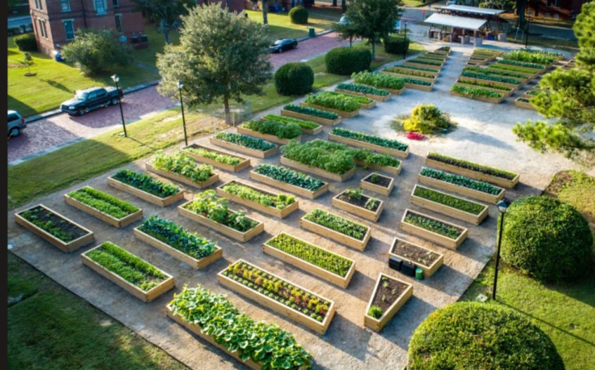 Park Gardening 2