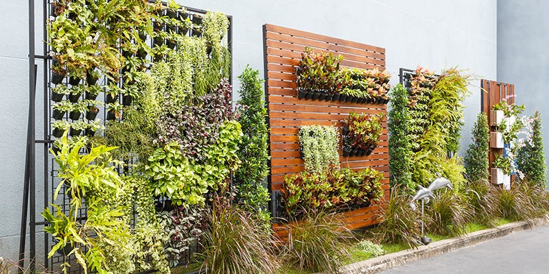 Vertical Gardening 1